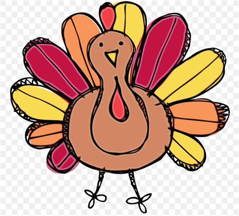 Thanksgiving Turkey Drawing Png 768x743px Watercolor Bird Cartoon