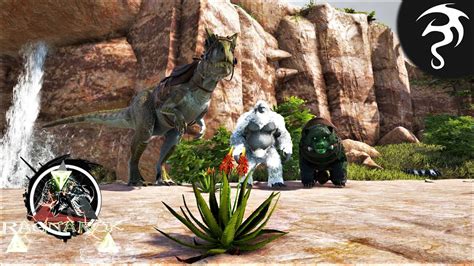 The admin cheat command, along with this item's gfi code can be used to spawn yourself cactus sap in ark: How to get Cactus Sap on Ragnarok (Aloe Plant) & The Yeti ...