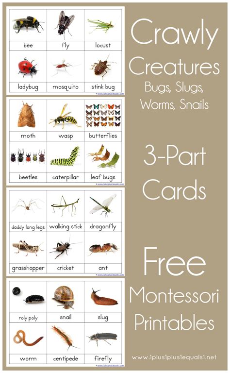 In addition to the free materials here, please look at phonics & stuff, my teachers pay teachers store. 1+1+1=1..Montessori Printables