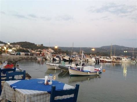 Κομψή εμφάνιση με λευκό πουκάμισο για τα γενέθλια του βασιλιά. Η ΒΑΣΙΛΙΣΣΑ ΡΑΝΙΑ ΤΗΣ ΙΟΡΔΑΝΙΑΣ ΣΤΟ ΕΣΤΙΑΤΟΡΙΟ - Picture ...