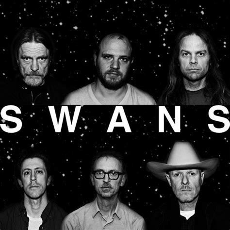 Official account for swans, m.gira & young god records. Swans Will Release Final Album In May | mxdwn.com
