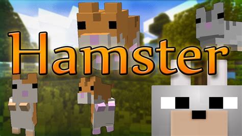 We did not find results for: Minecraft Mods - Hamster 1.4.4 Review and Tutorial ~ Cute ...