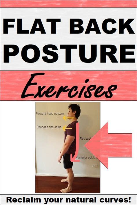 9 Flat Back Posture Ideas In 2021 Postures Shoulder Blade Muscles