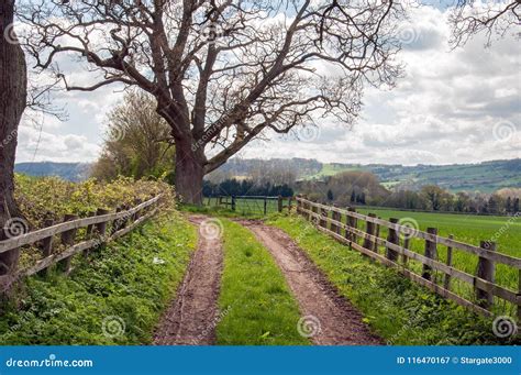 Springtime Landscape In The British Countryside Stock Image Image Of