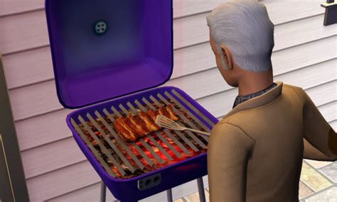 Sims 2 Bbq Ribs Tumblr Pics