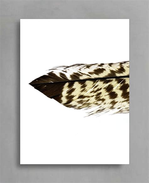 Printable Set Of 3 Feather Prints Downloadable Australian Etsy