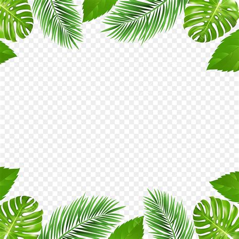 palm tropical summer vector design images summer palm tropical border and nature tropical