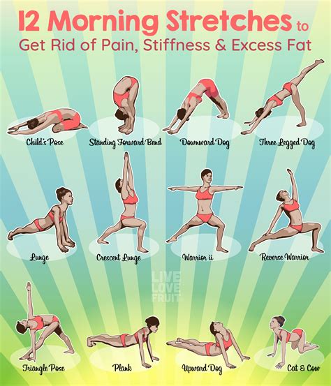 22 Stretching Exercises Infographics for Better Flexibility ...