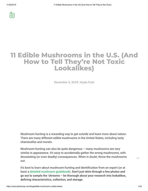 11 Edible Mushrooms In The Us And How To Tell Theyre Not Toxic