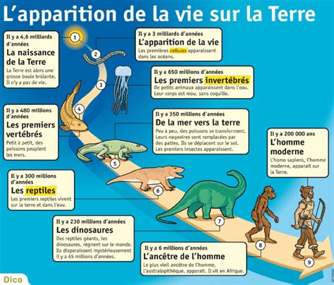 La Vie Sur Terre Apparition Et évolution Des Espèces