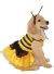 Pet Costume Baby Bumblebee Sm
