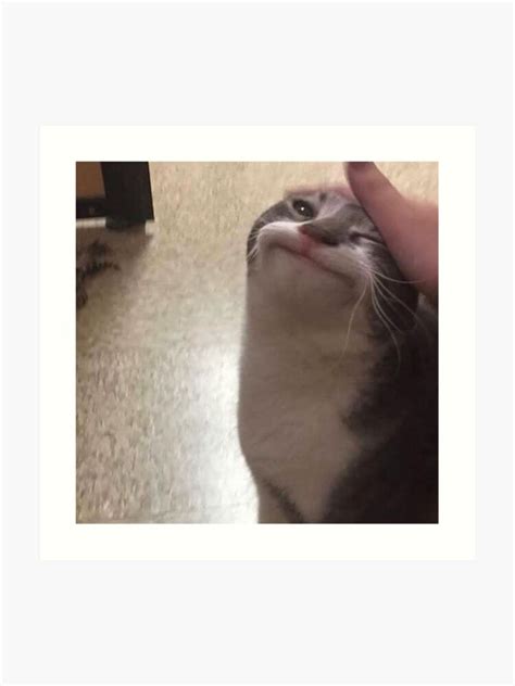Polite Cat Meme Transparent