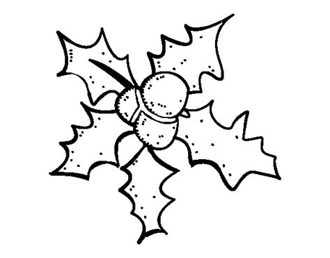 Christmas Holly Coloring Coloring Pages