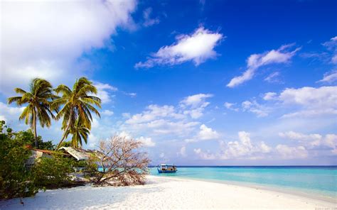 Choose from a curated selection of beach wallpapers for your mobile and desktop screens. Beach Side Wallpapers | HD Wallpapers | ID #8537