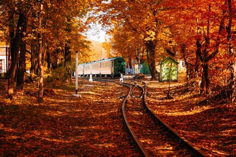Train On Autumn Forest Stock Image Image Of Background 102474615
