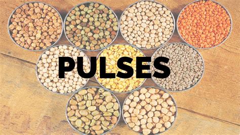 Meaning of initiative in english. Pulses in Kannada - Learn Kannada - YouTube