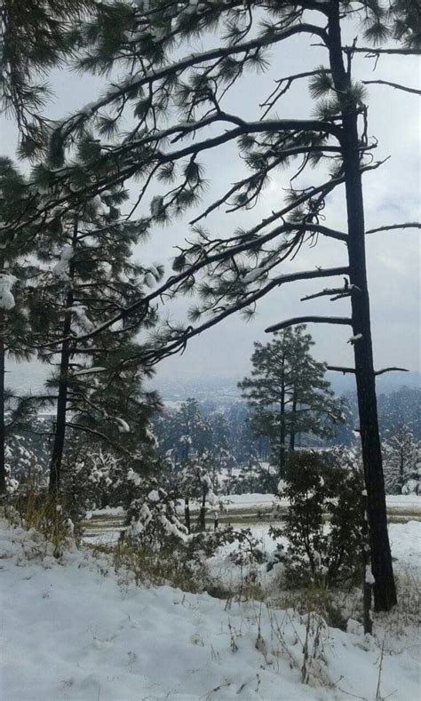 Fotogalería Así Luce La Sierra De Chihuahua Por Nevadas El Diario De