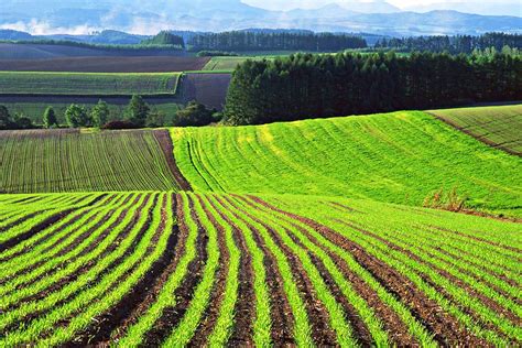 Rada Prolongs Ban On Selling Agriculture Land For A Year 112 Rada