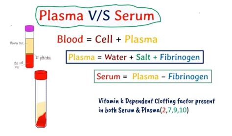 What Is The Difference Between Serum And Plasma In Detail With Defin