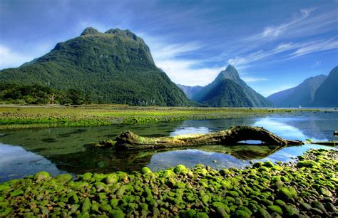 4548080 Landscape Fjord Mist Nature Morning Water New Zealand
