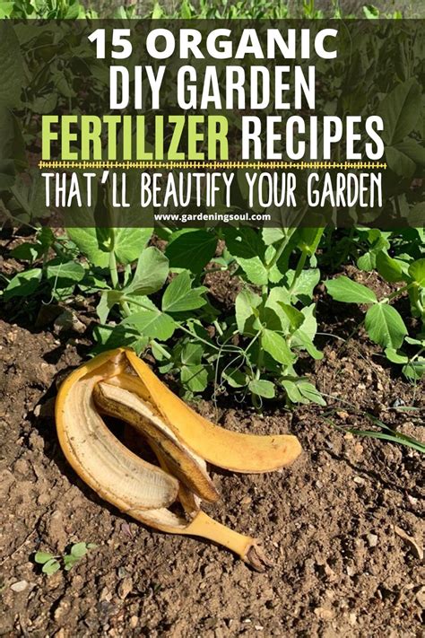 How to make the best organic garden fertilizer. 15 Organic DIY Garden Fertilizer Recipes That'll Beautify ...