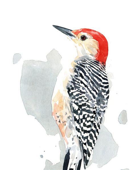 Red Bellied Woodpecker Print Watercolor Bird Painting Bird Etsy