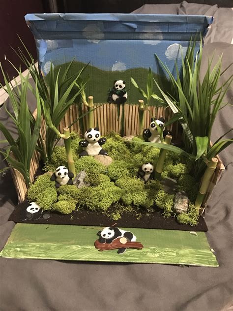 The 'giant' part can be added to differentiate between giant pandas and red pandas. Panda habitat project | Habitats projects, Panda habitat ...