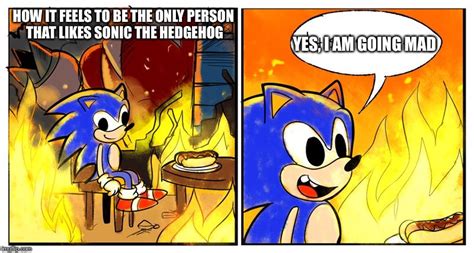 Image Tagged In Sonic Forces This Is Fine Imgflip