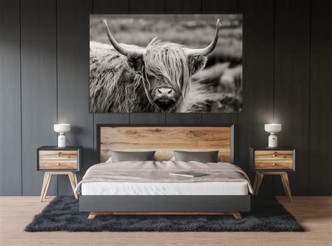 Scottish Highland Cow Wall Art Cattle Canvas Cattle Wall Art Etsy