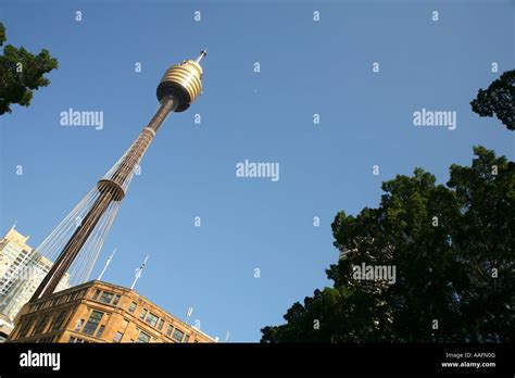 Amp Centrepoint Tower Seen From Hyde Park Sydney Australia Stock