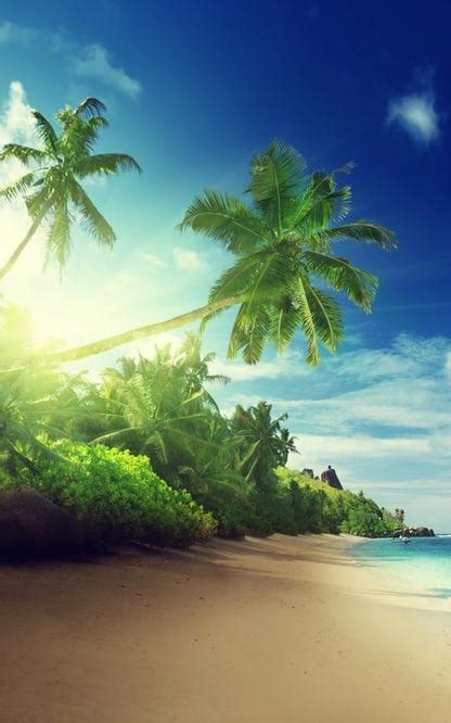 Tropical Beach Live Wallpaper Free Download And Software Reviews