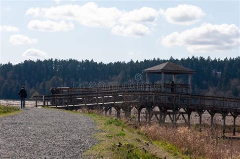 A Visitor And A Boardwalk In The Billy Frank Jr Nisqually National