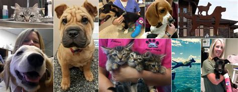 Rocky Mountain Animal Hospital, Casper, Wyoming