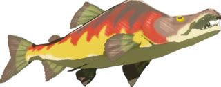 Maybe you would like to learn more about one of these? Hearty Salmon - Zelda Wiki