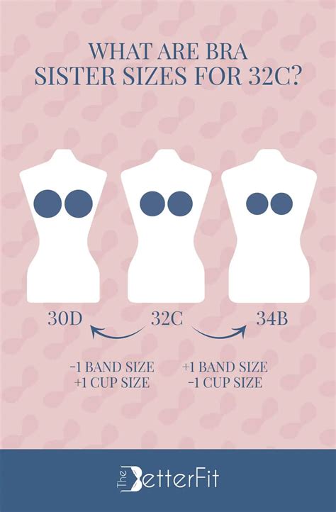 How Big Is A 32c Bra Cup Size Thebetterfit