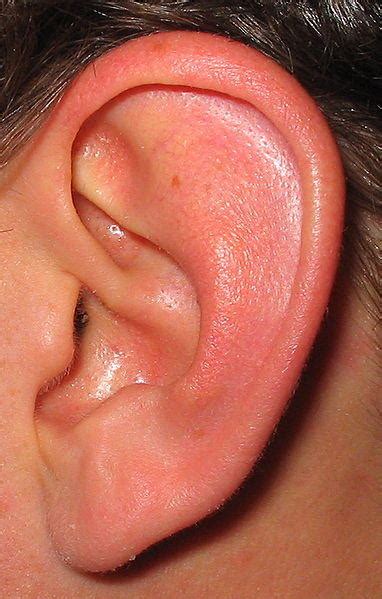 6 Ways To Remedy Ear Irritation And Discomfort In Adults