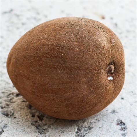 Mamey_sapotes_lowres summers in hawaii and a mamey (pantin) kumu aina farm deems that the mamey sapote should be called the mother of all we have been told that this is the largest mature orchard of mamey in hawaii. Mamey Sapote For A Nutritious, Delicious Dessert - Think ...