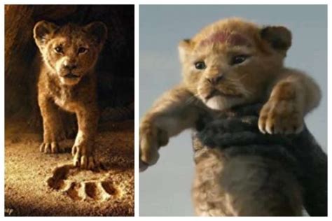 Long live the king average 4.3 / 5 out of 38. 'The Lion King 2019' Live Action trailer is here ...