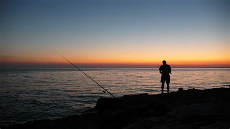 Download Fishing Rod Ocean Horizon Silhouette Sunset Fishing