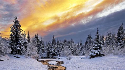 Colorful Winter Wallpapers Wallpaper Cave