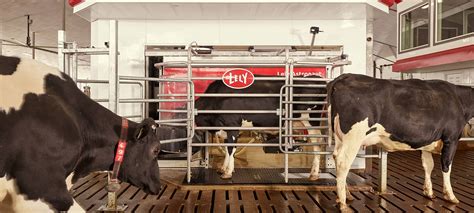 A5 regulatory sequence in biochemistry. Pilot customers on their Lely Astronaut A5 - Lely