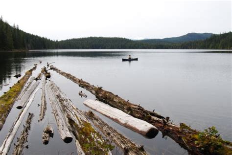 Surprise Lake British Columbia Anglers Atlas