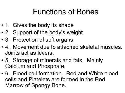 Ppt Functions Of Bones Powerpoint Presentation Free Download Id