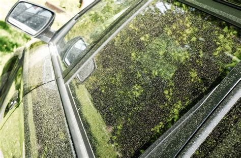 This should take you only a few minutes to do. How To Remove Pollen Stains From Car Paint - EDSC