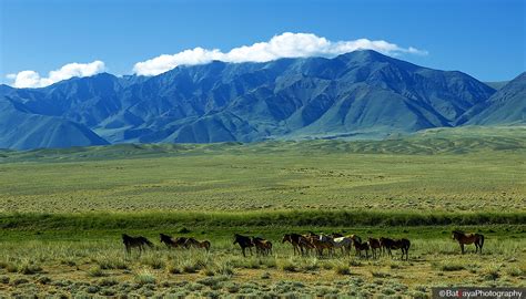 Gobi Altai Land Where Majestic Altai Meets The Gobi