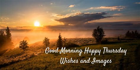 Good Morning Happy Thursday Wishes And Images Premium Wishes