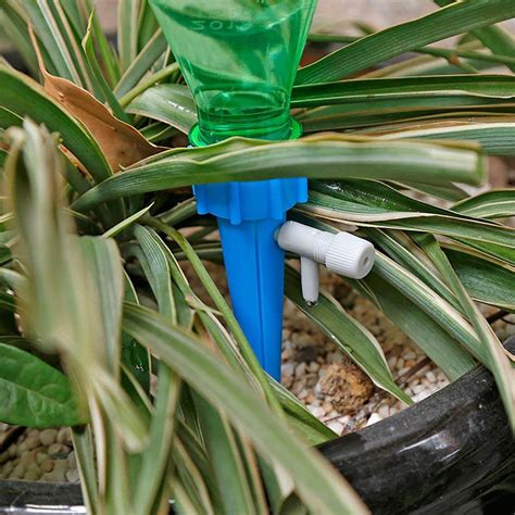 Automatic Drip Plant Self Watering Spikes12pcs Best Gadget Store