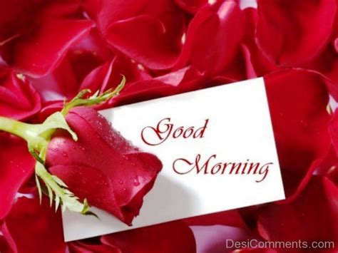 54 good morning friends have a nice day. good-morning-rose-flower-wish-friends-pics-mojly-images-Red-Rose-Good-Morning-wg023368 - Mojly