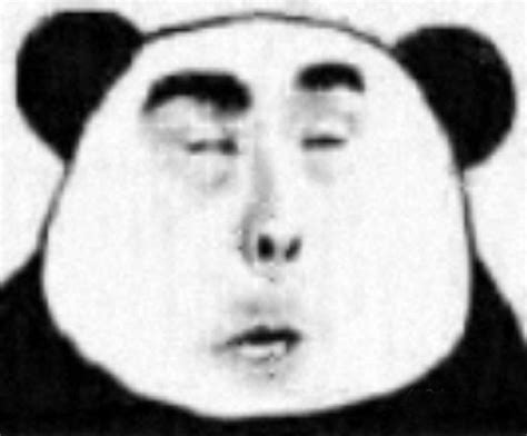 Chinese Panda Wearing Oxygen Mask Source Image Chinese Panda