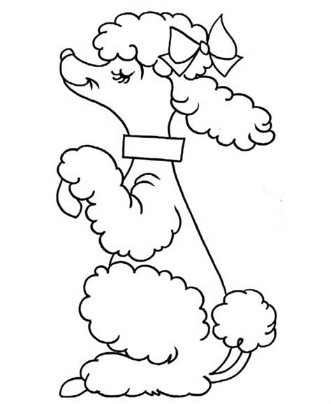 Entdecke rezepte, einrichtungsideen, stilinterpretationen und andere ideen zum ausprobieren. Poodle coloring, Download Poodle coloring for free 2019